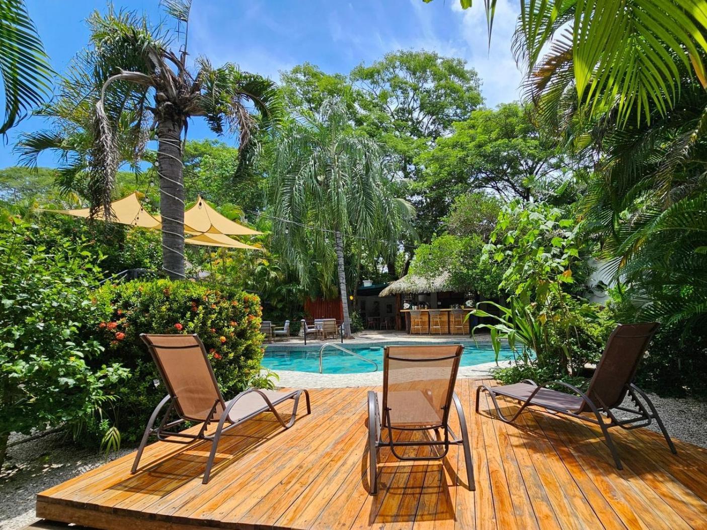 Kalimba Hotel